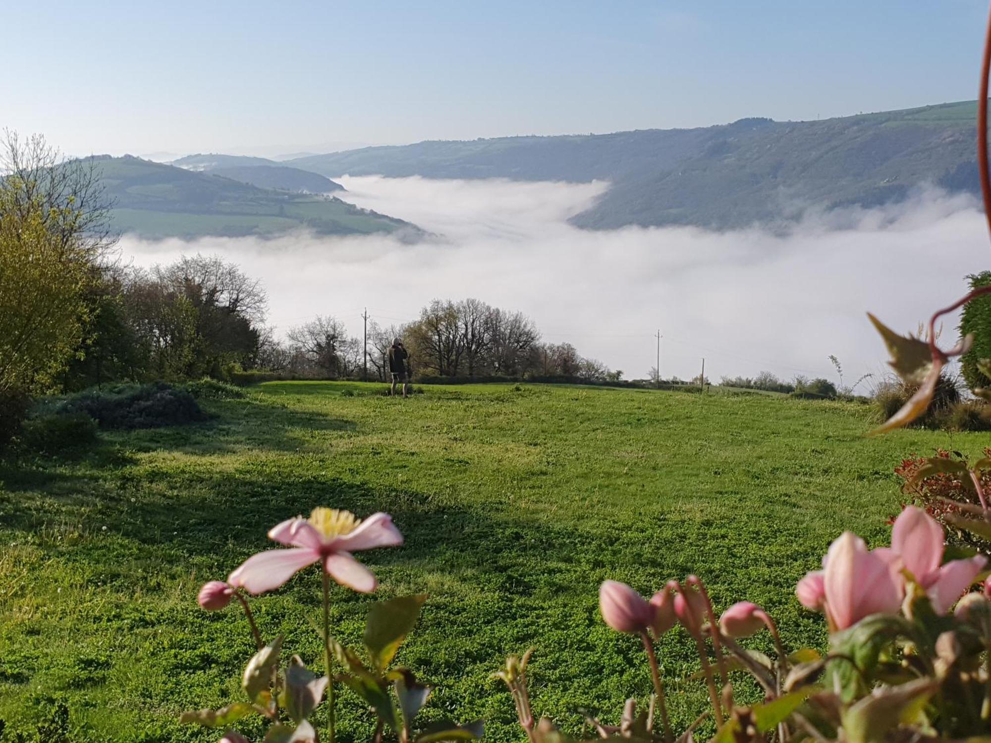 La Colline Du Chat Perche Villa Connac Eksteriør billede