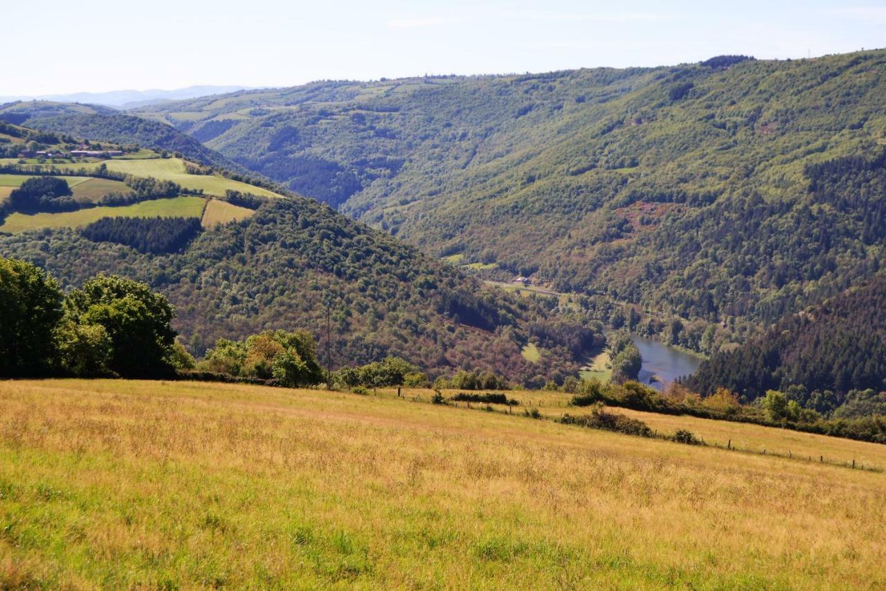 La Colline Du Chat Perche Villa Connac Eksteriør billede