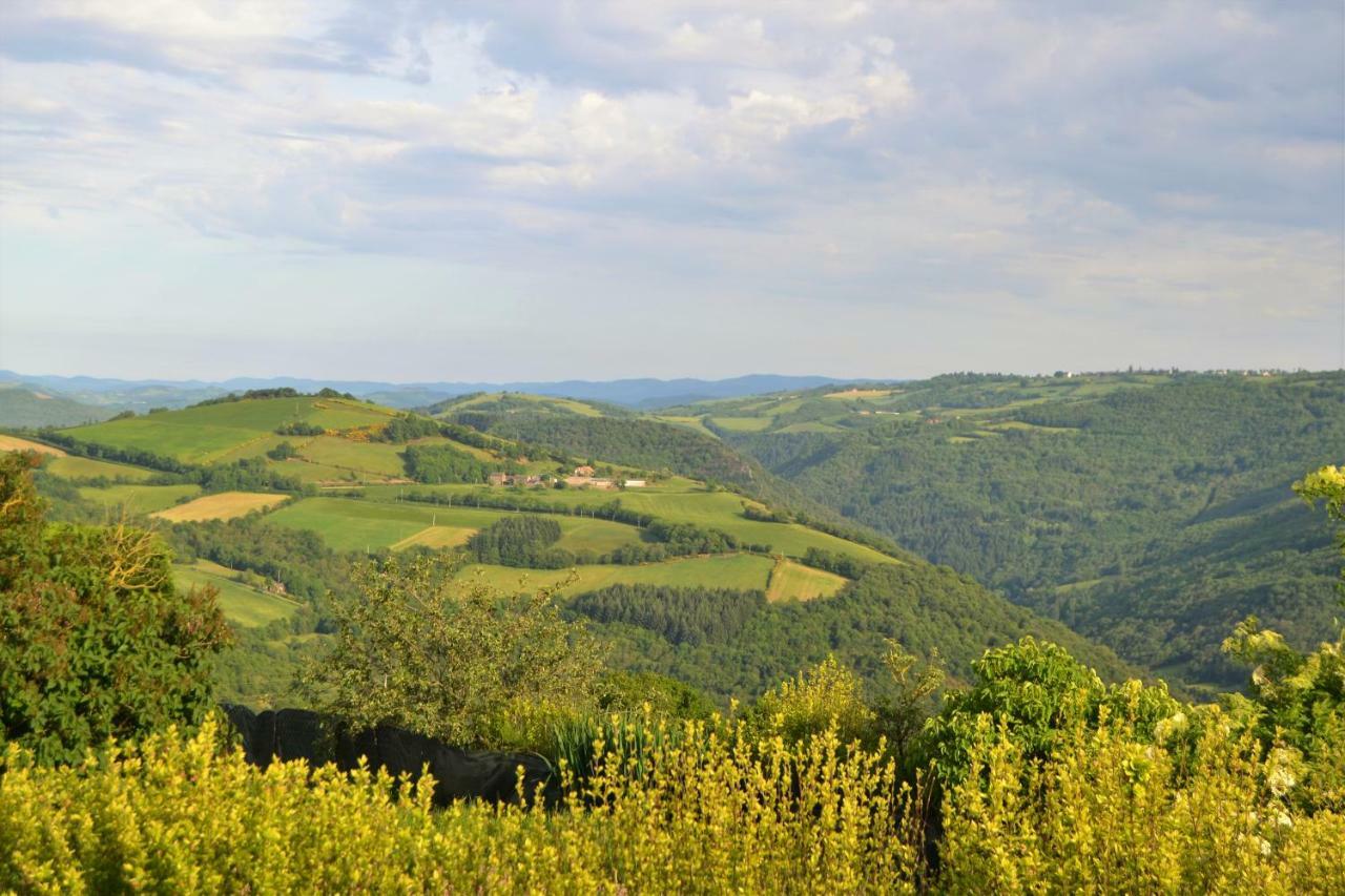 La Colline Du Chat Perche Villa Connac Eksteriør billede